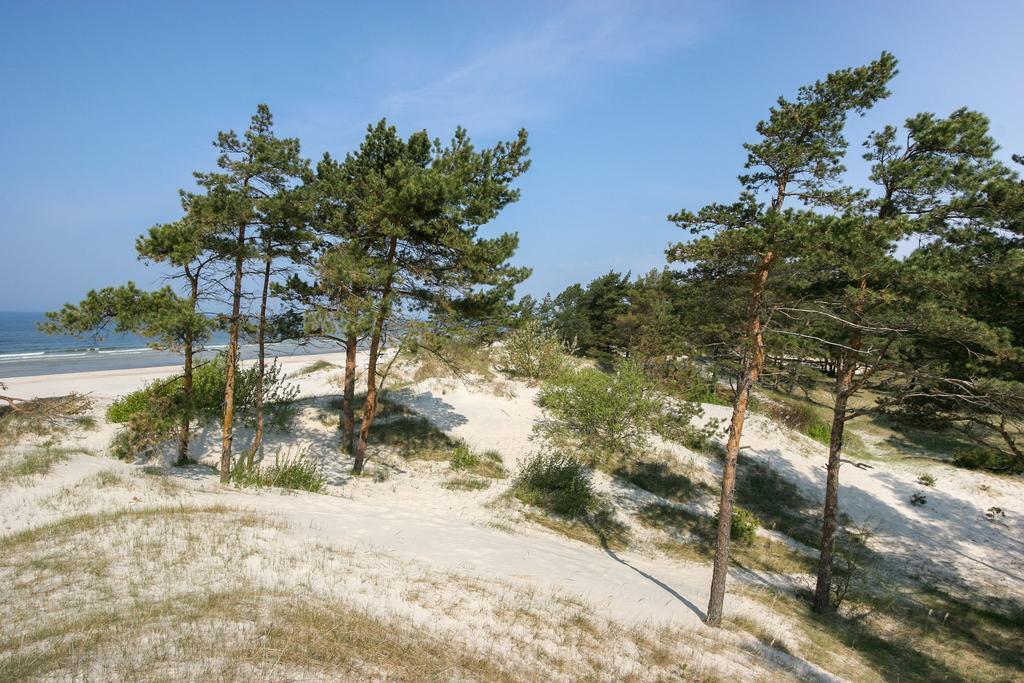 Vila Medus Palanga Exterior foto