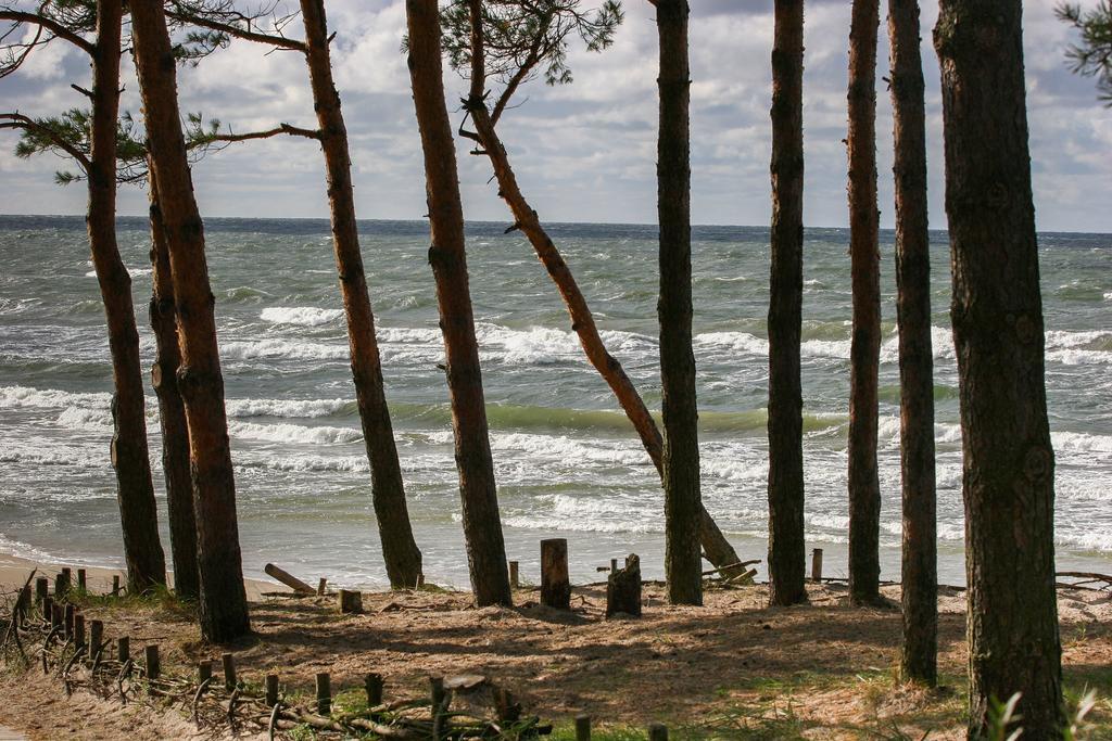 Vila Medus Palanga Exterior foto